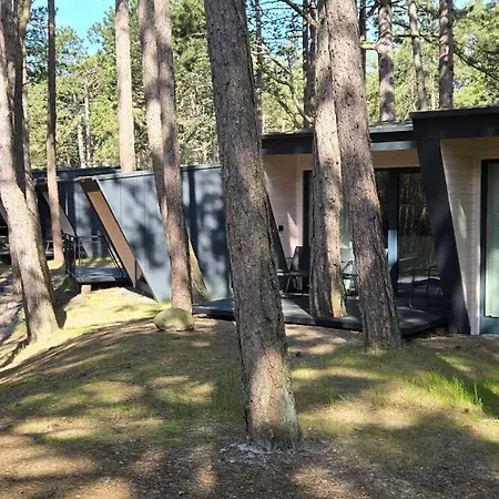 Lodge Fly House