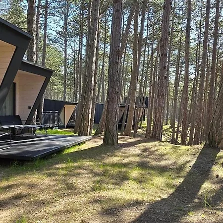 Fly House Orman Evi
