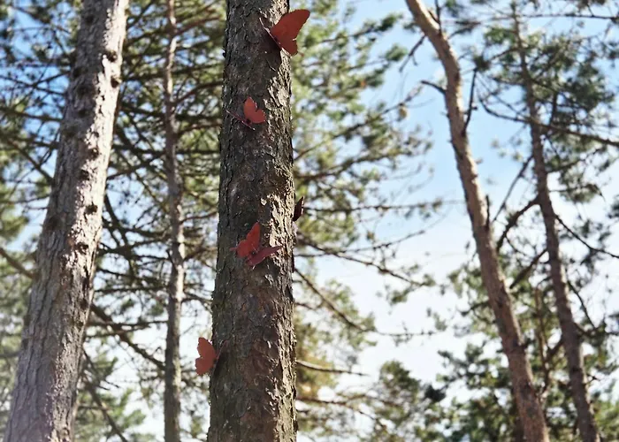 Fly House Gerendaház Łeba